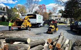 Salem Lakes, WI Tree Services Company